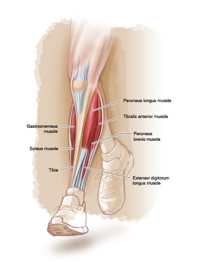 shin splints running