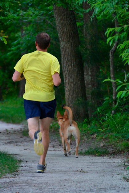 trail running dogs