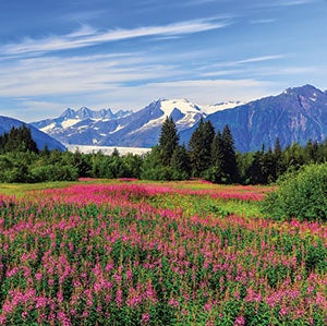 The mountains near Juneau, Alaska