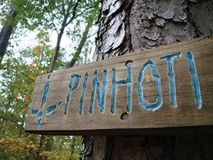 A trail sign at the Pinhoti 100.