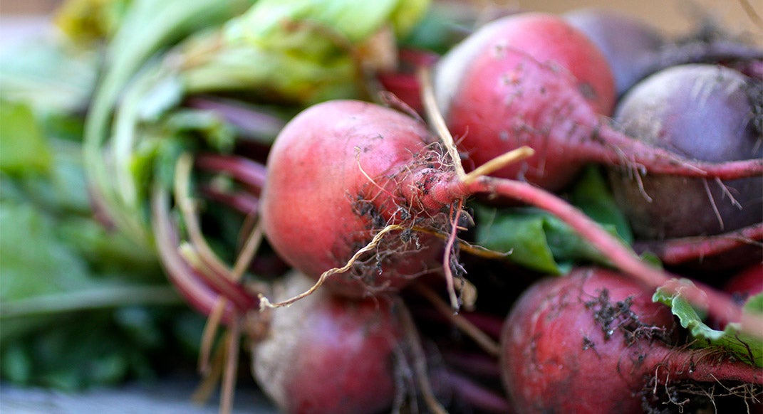 Beet recipes for performance