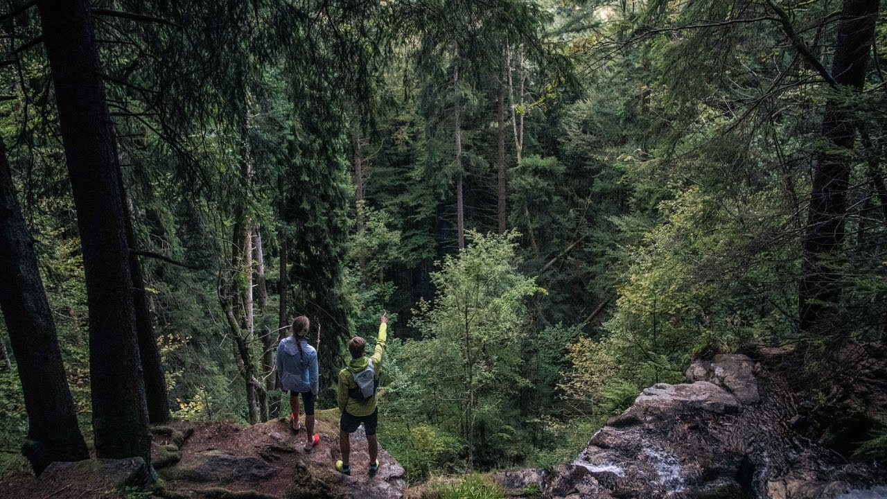 trail running in the black forest