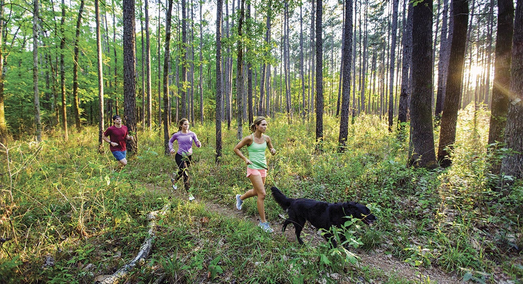 Lobo, Jaimee Cox, Annie Fletcher and Justin Thomas, Section 9, Big Creek. Photo by Chad Ehlers/auroraphotos.com.