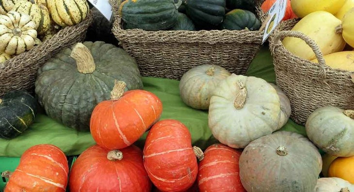 Foods to boost running performance