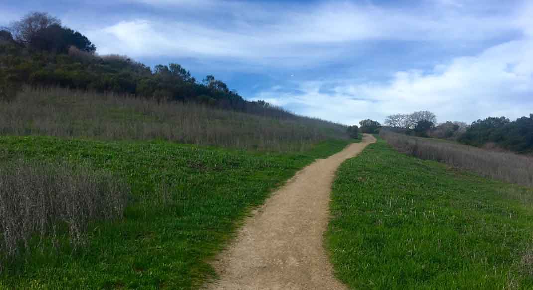Before hammering up the trails, go slow and take some photos.