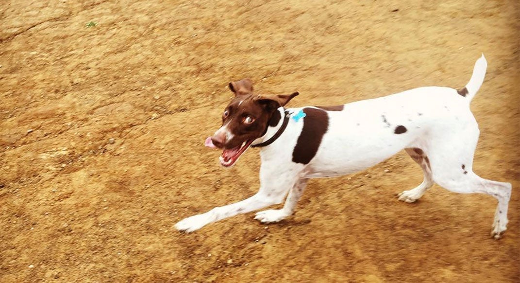 Photos courtesy of Daniel Weissauer