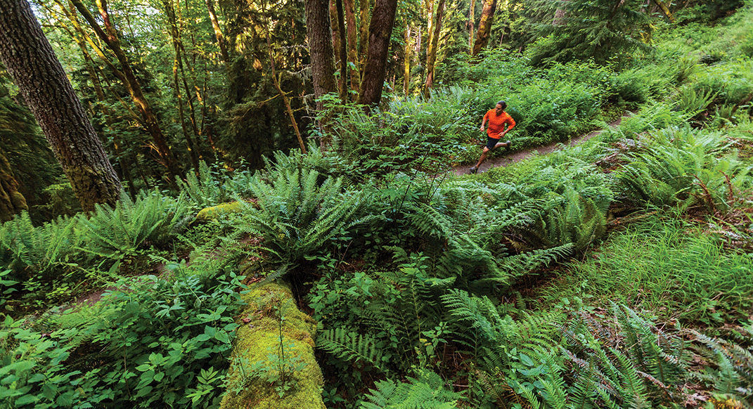 Trail running in Washington