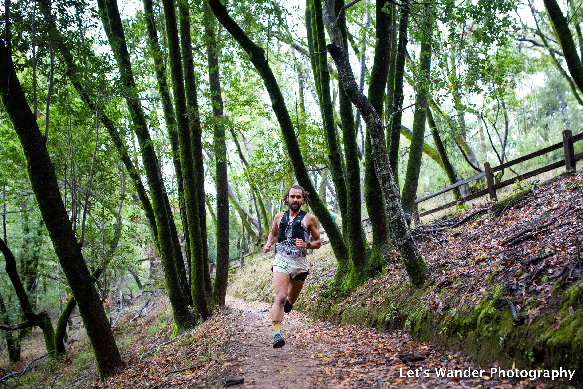 Courtesy of Adam Merry