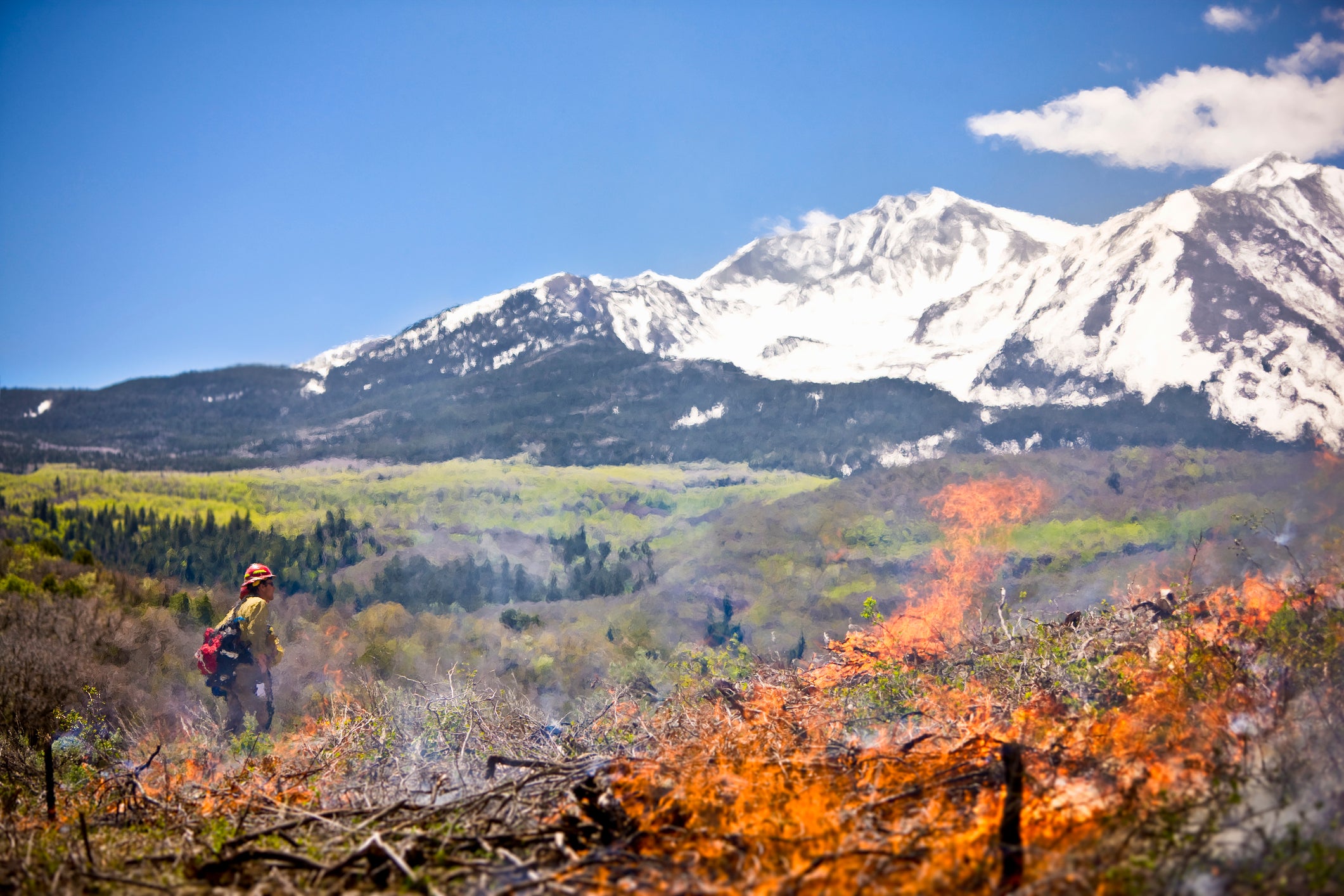 Colorado Forest Fire