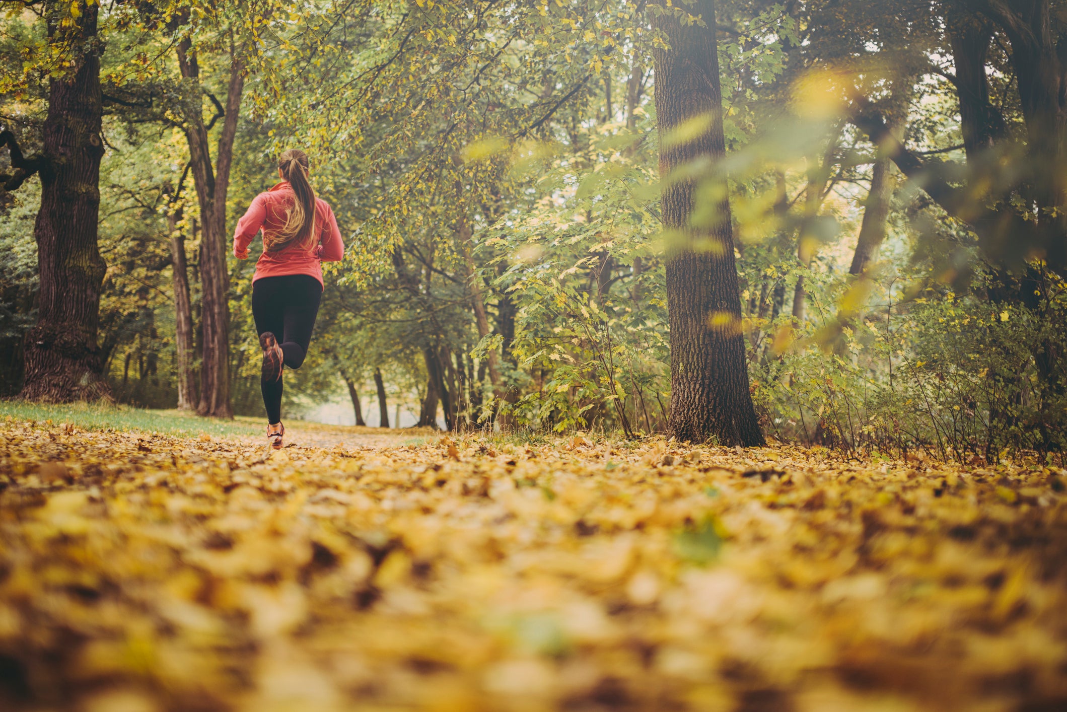 Long blondhaired woman jogging in autumnal park.