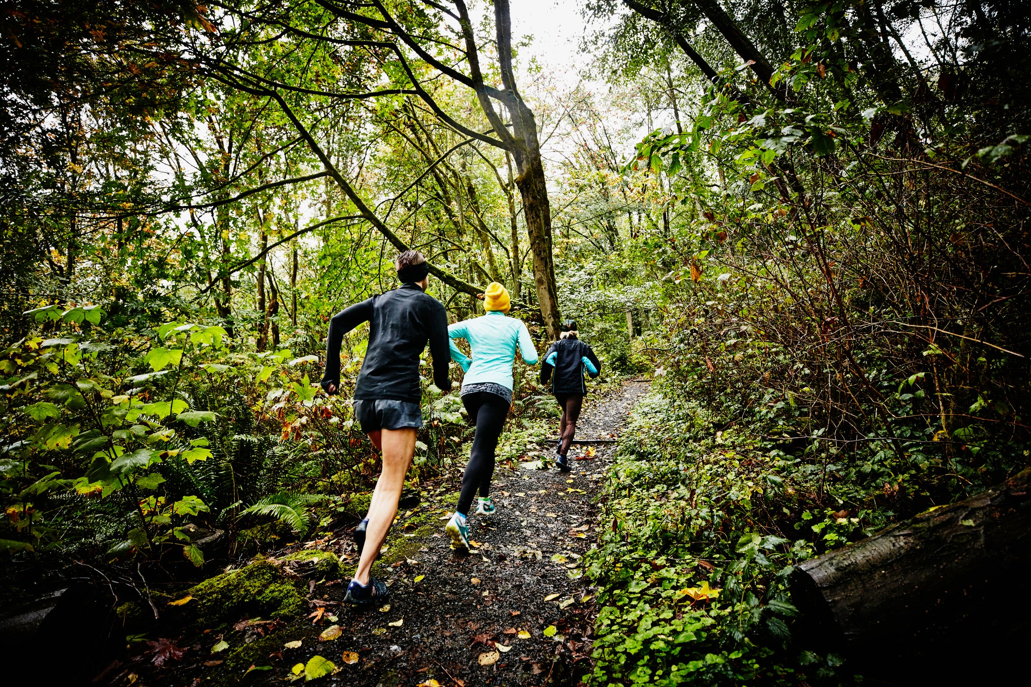 Group of female friends running up forest trail on rainy afternoon