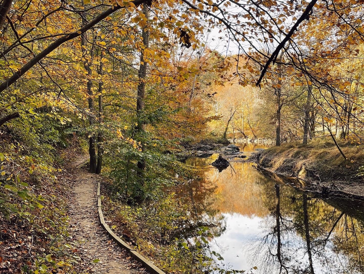 washington dc trail running