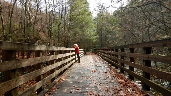 virginia creeper trail