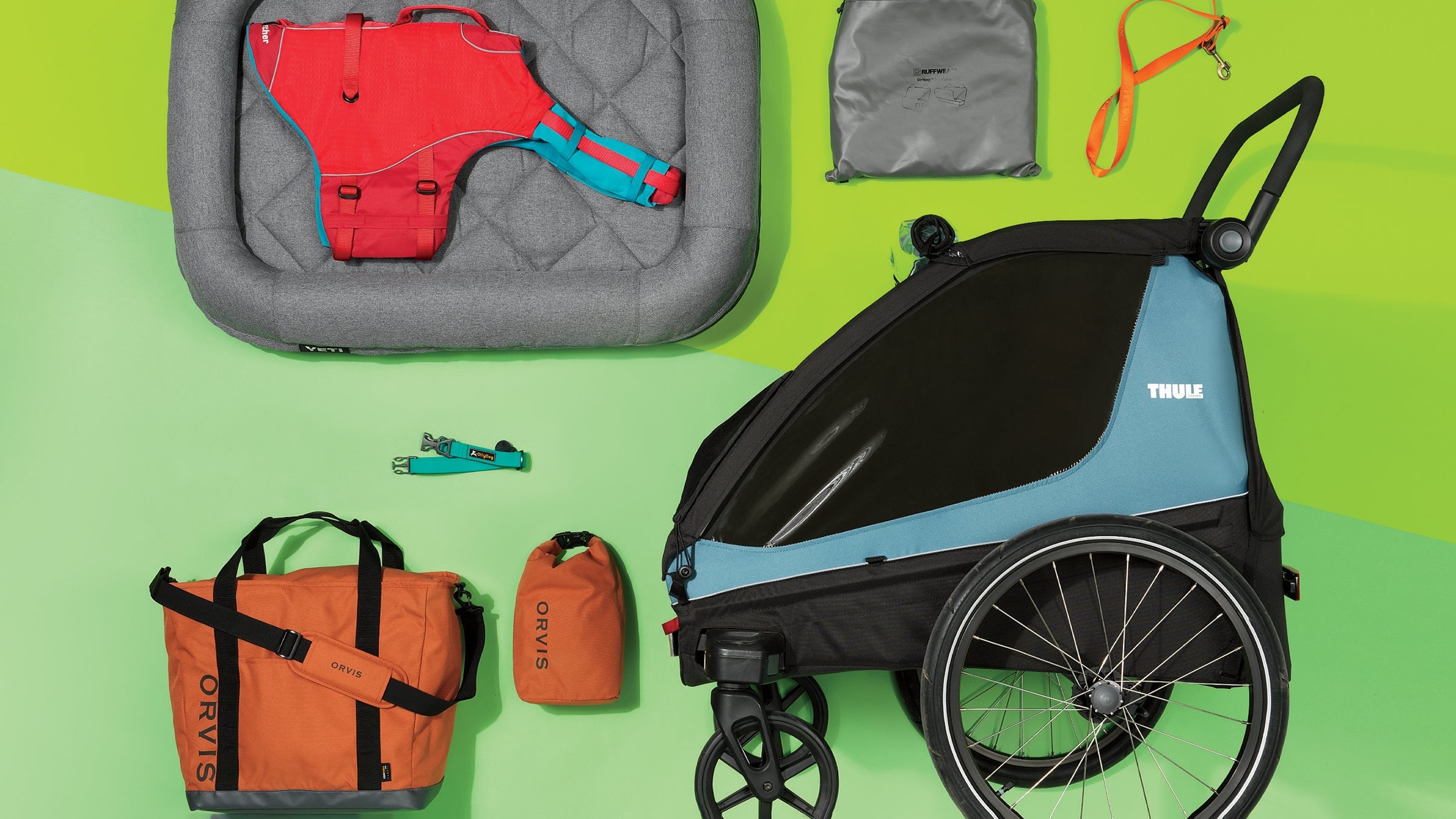 The Best Dog Gear of 2022