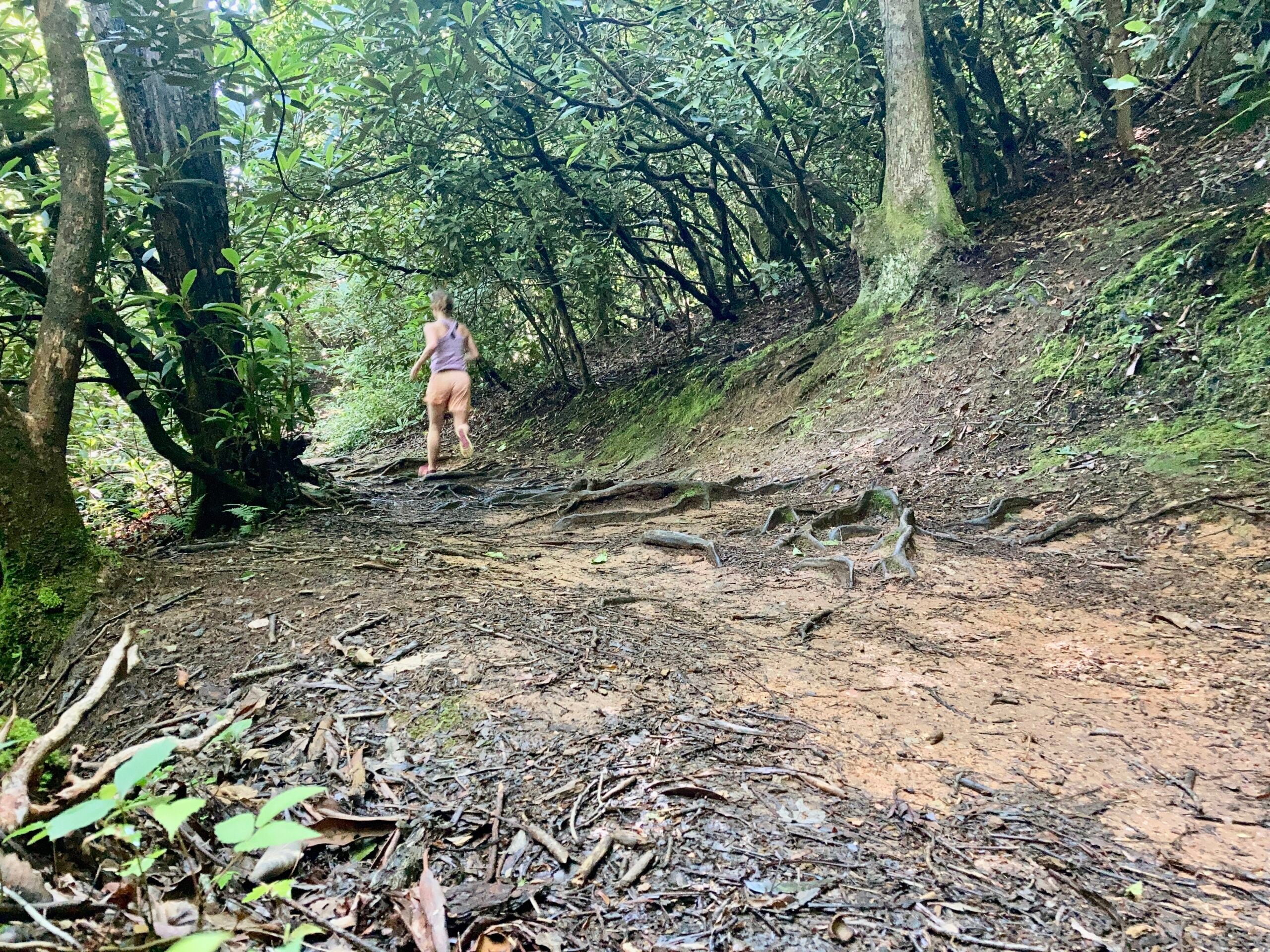 trail running in tennessee