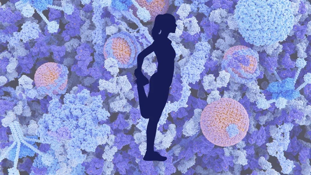 Photo Credit: Getty Images