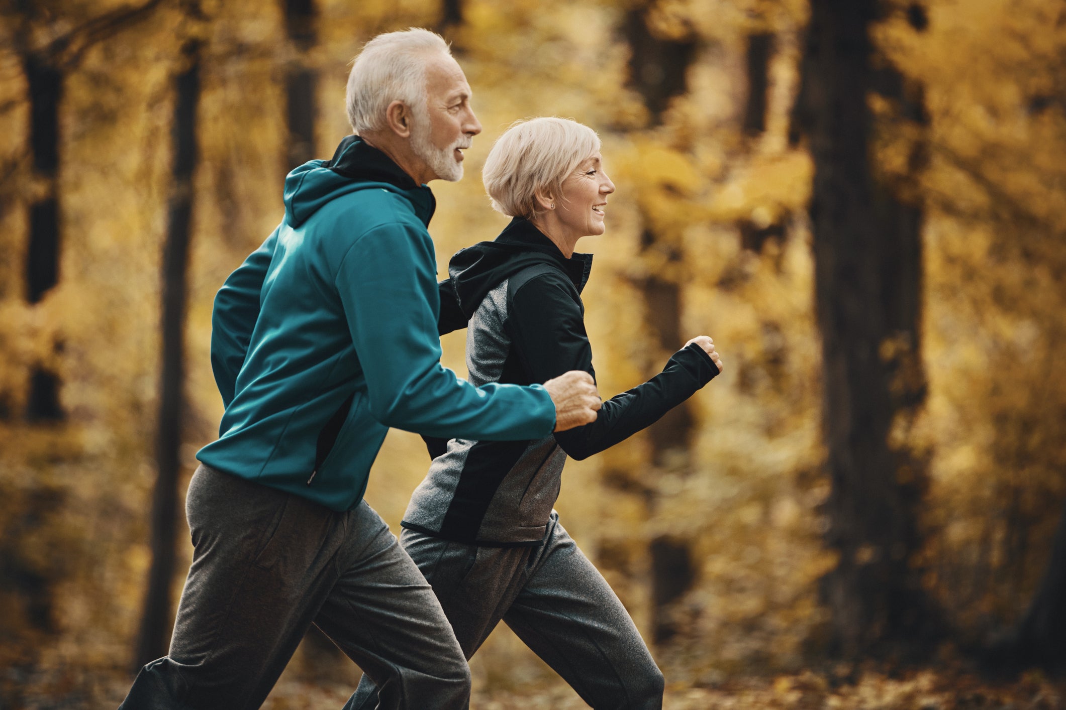Closeup side view of a senior couple jogging in a forest and having fun. They are running on a winding forest road, laughing and doing their healthy routine. Trees in background have turned orange and yellow.