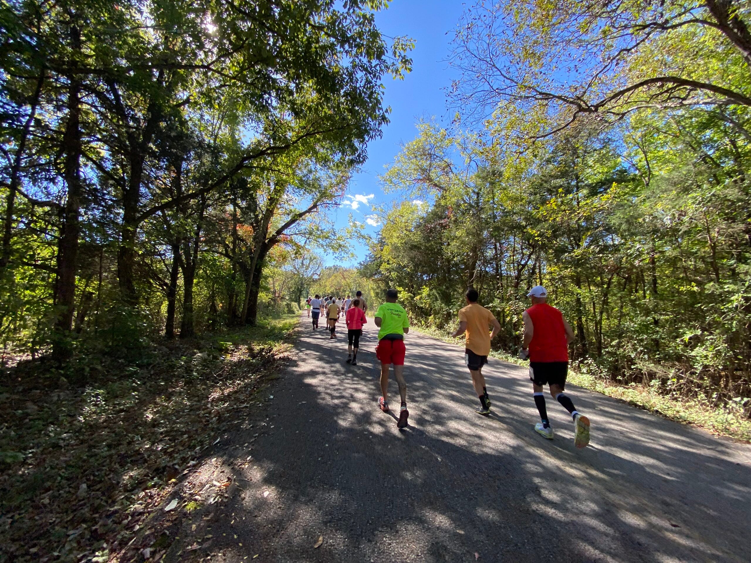 Photo Courtesy of Harvey Lewis