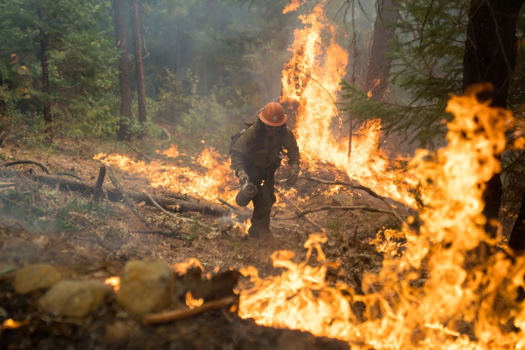 RAMSEY CROSSING, CA - SEPTEMBER 15: Firefighters work to contain The Mosquito Fire on September 15, 2022 in Ramsey Crossing, California. The Mosquito Fire officially became the state's biggest fire of the year and is still only 20 percent contained. (Photo by Eric Thayer/Getty Images)