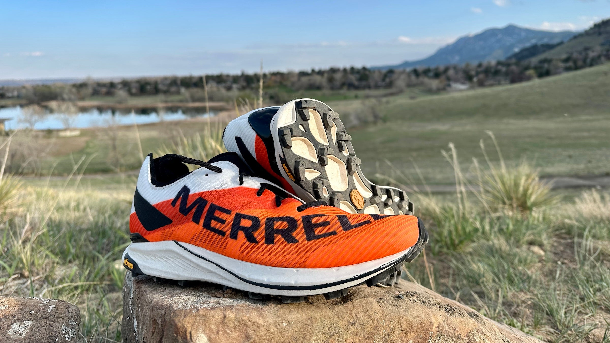 Orange shoe set on a rock in a meadow