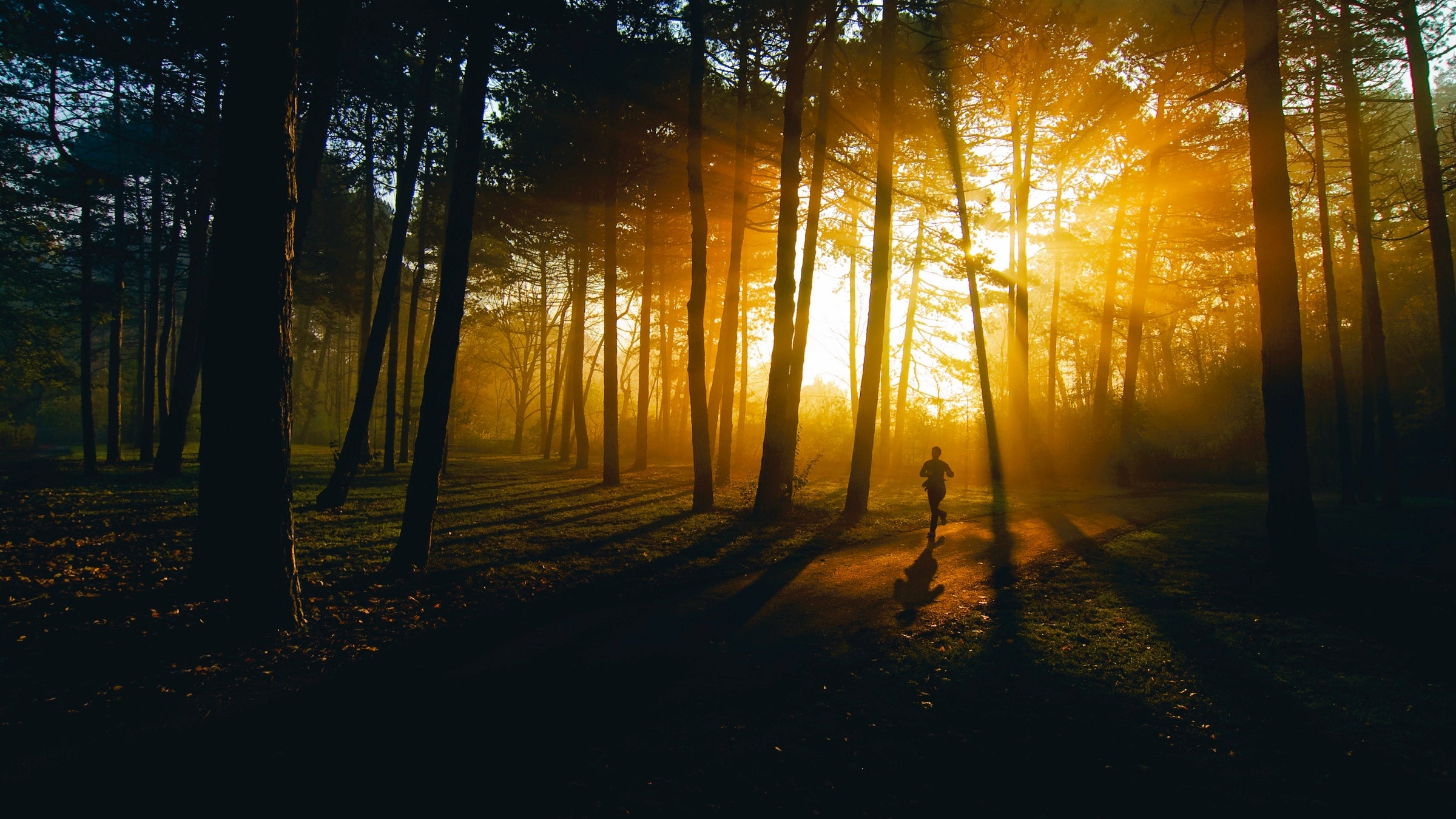 a woman runs through a park with sun streaming through trees